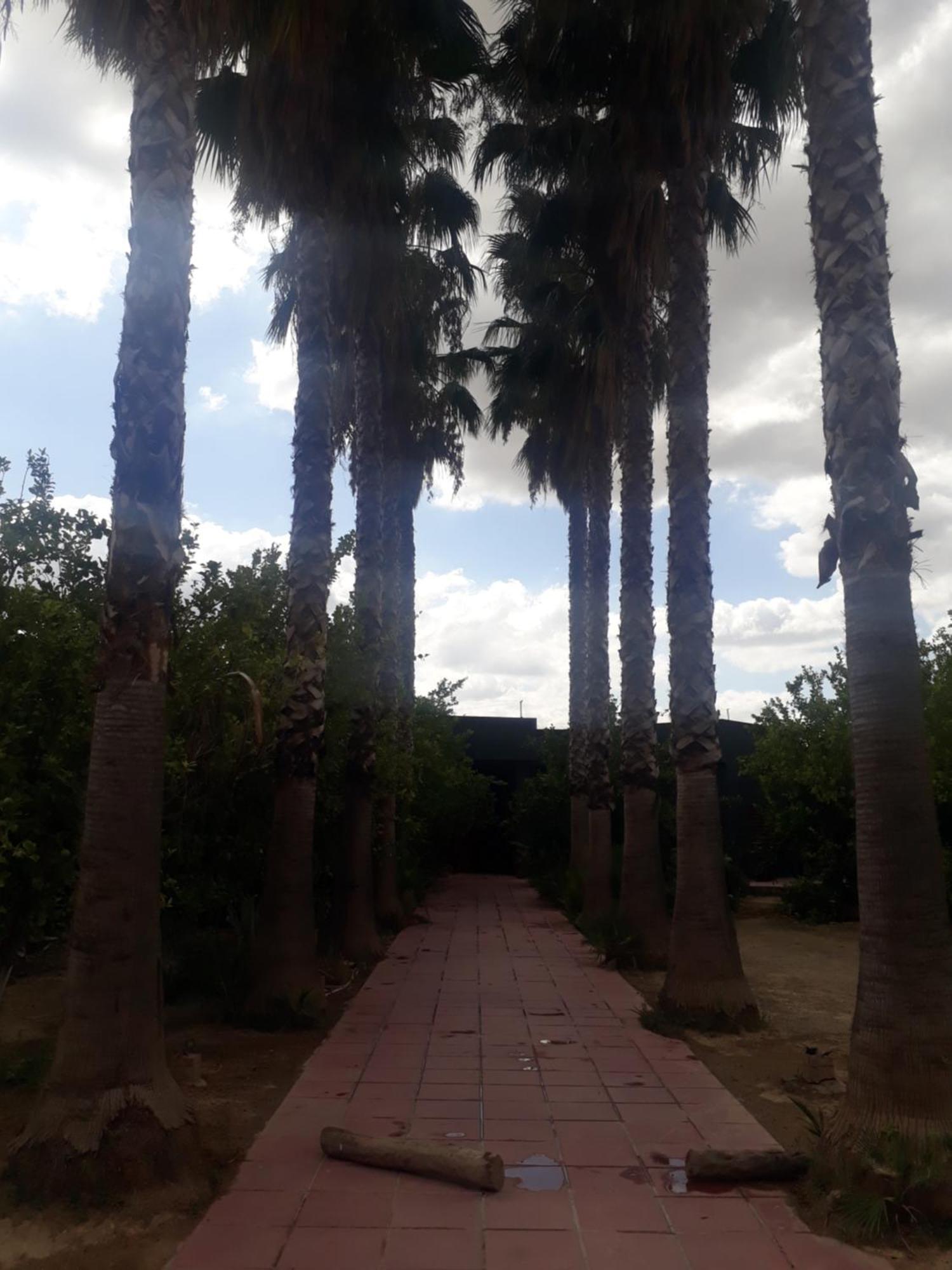 Gasthaus Dar Khedija El Kheriba Exterior foto